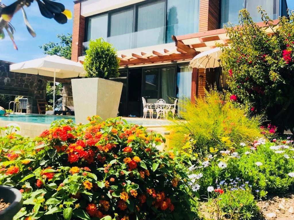 Villa No 5 Bodrum Dış mekan fotoğraf