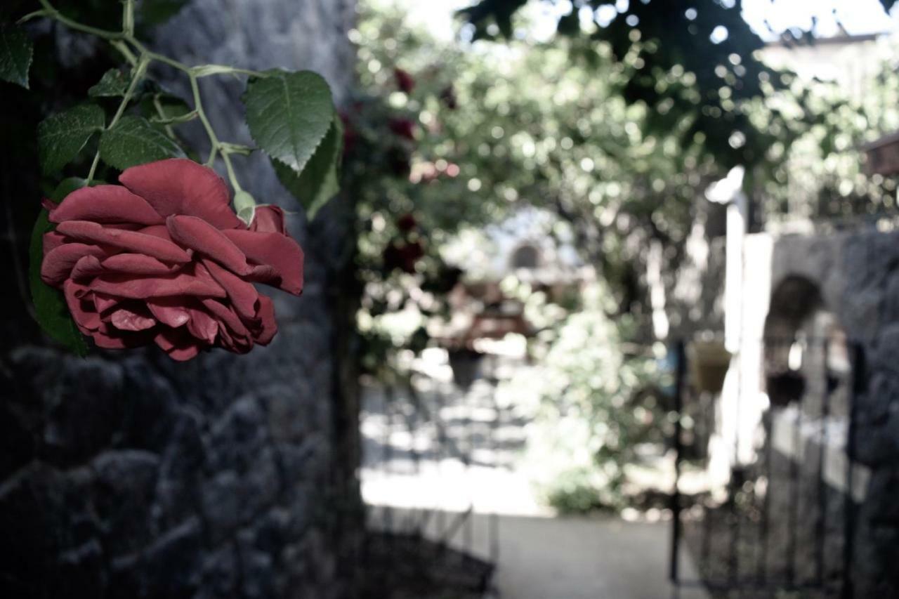 Villa No 5 Bodrum Dış mekan fotoğraf