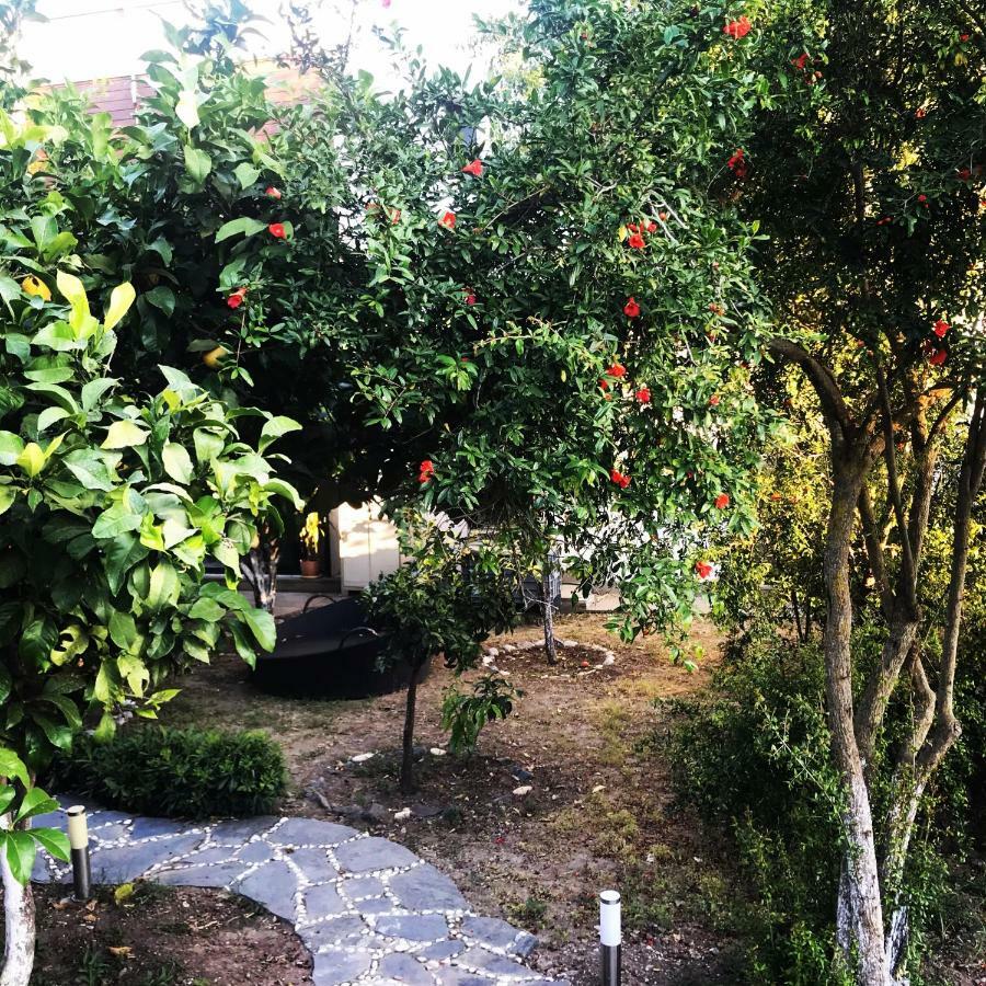 Villa No 5 Bodrum Dış mekan fotoğraf